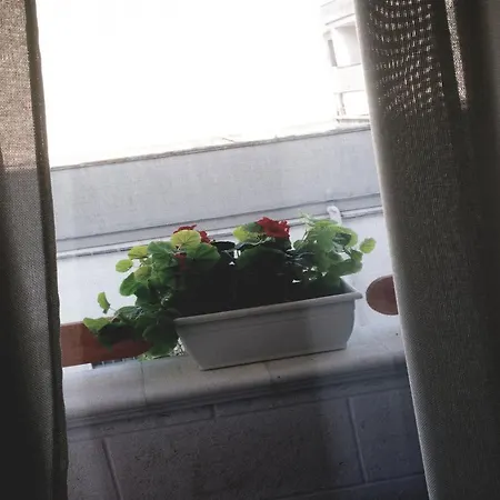 La Bella Отель типа 